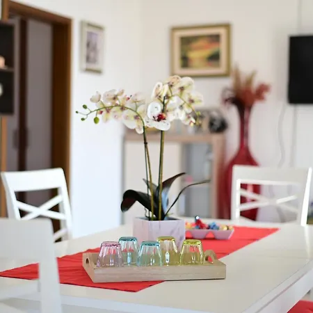 Apartment Blue Paradise