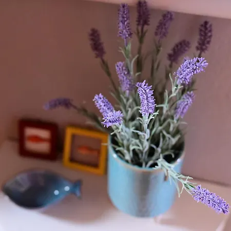 Apartment Blue Paradise *